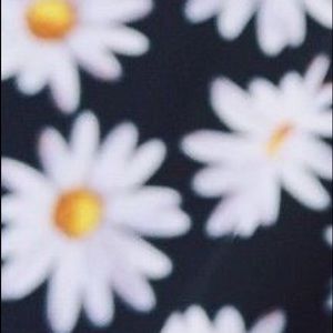 Meet your Posher, Fiona